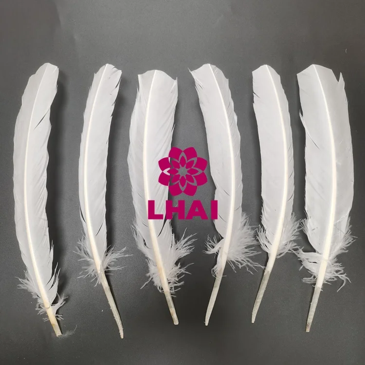 Wholesale 25-30 cm 10-12 Inch Multicolour Turkey Quills Feathers For DIY Craft Decor Costumes Accessories