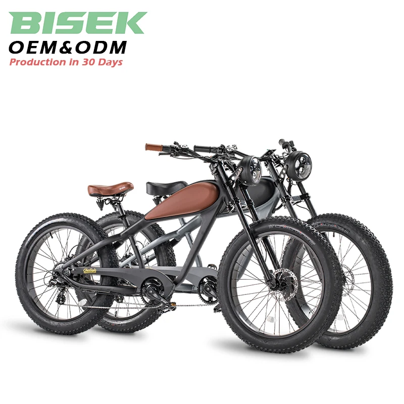 High Quality OEM 250W 500W 750W Electric Cafe Racer Bike Hot Product from China 48v Voltage Configuration for Adults
