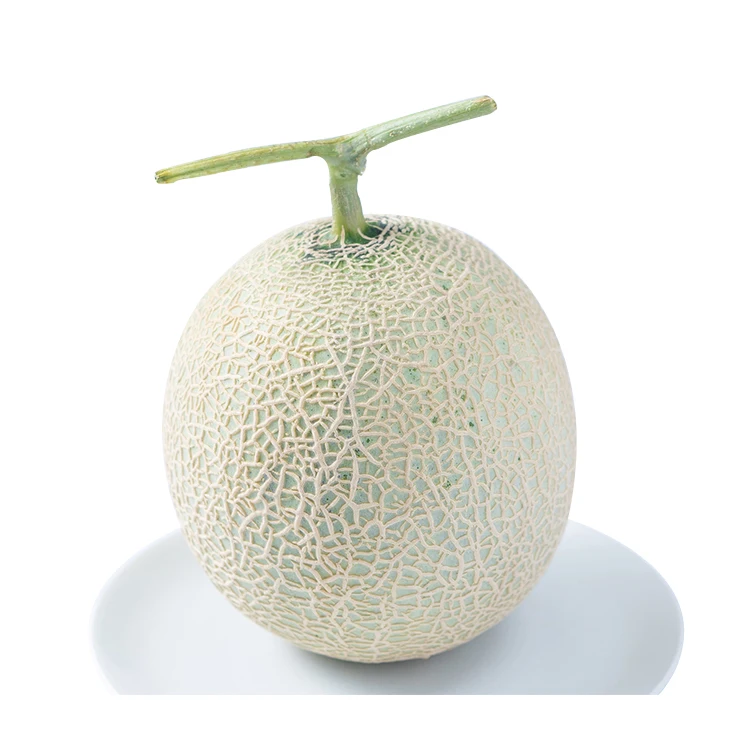 Wholesale excellent cost performance fresh other fruit melons