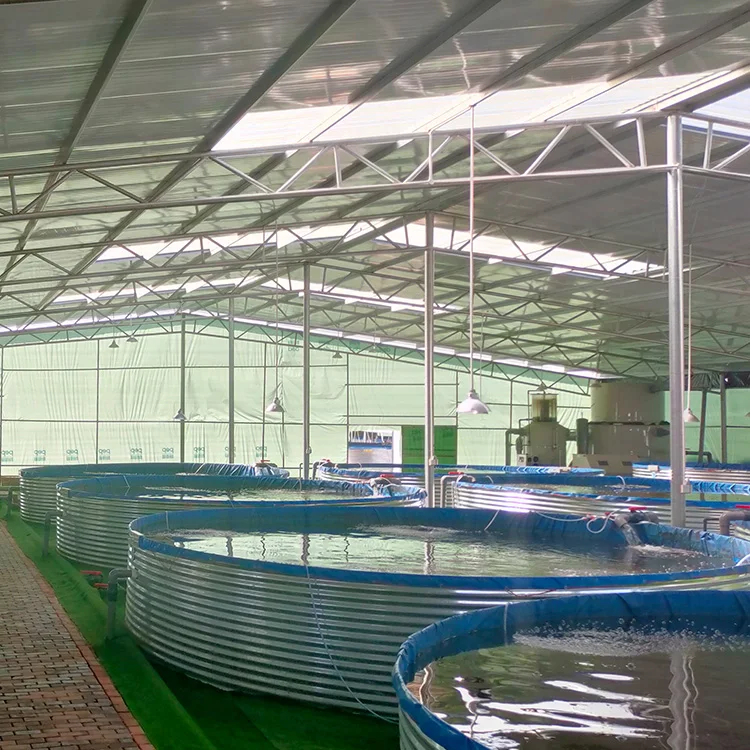 Recirculating Aquaculture System Equipments Indoor Aquaculture Equipment For Shrimps