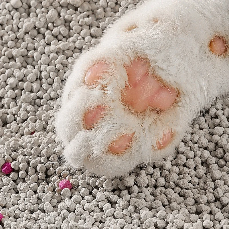 Premium Tofu Cat Litter Sand 100kg Low-Priced Snow Globe Mix with Taste 5kg 12 Litres Cat Litter with Logo