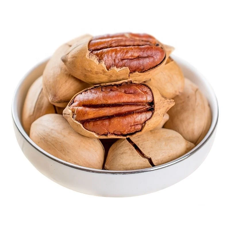 Raw Roasted Baked Salted Pecan Nuts with Shell Bags For Sale At Best Prices