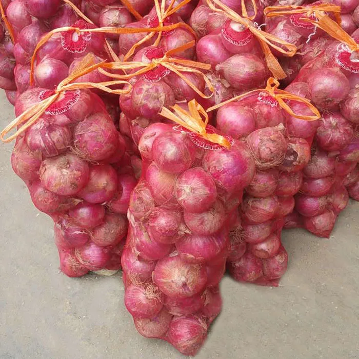 Export to Georgia New PP Material 20kg 30kg colorful Woven Mesh Bag Polypropylene Leno Onion eggplants Mesh Bag