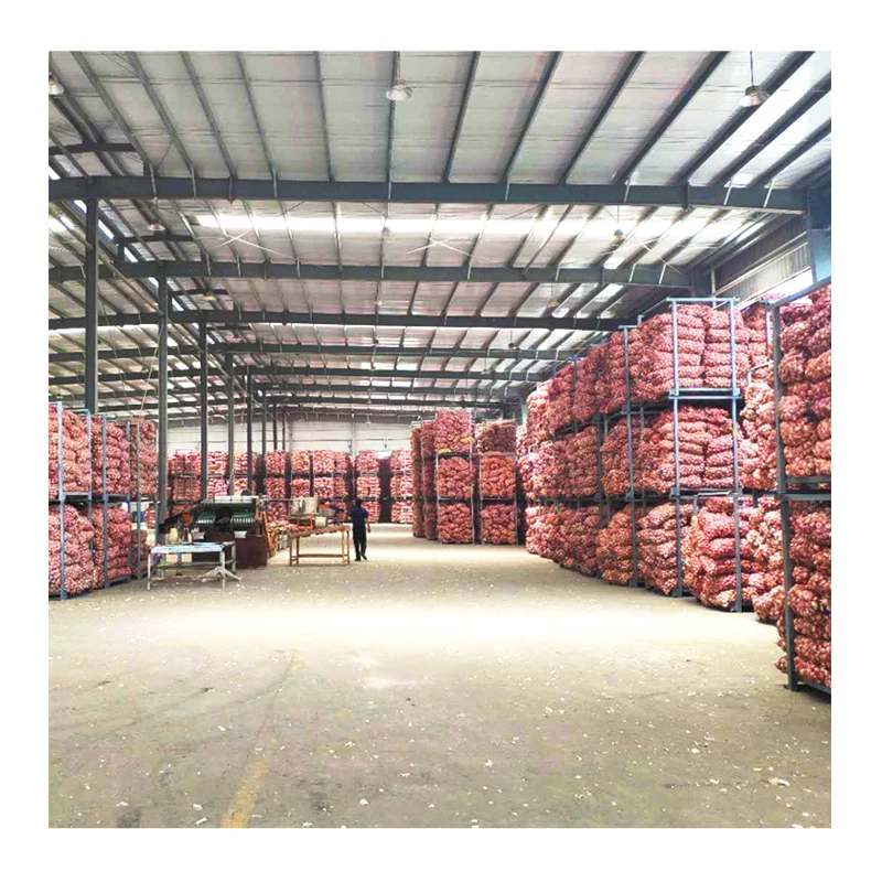 Hot sale  5.5cm Organic fresh natural garlic wholesale high quality 3p/5p small package China garlic export with GLOBAL GAP