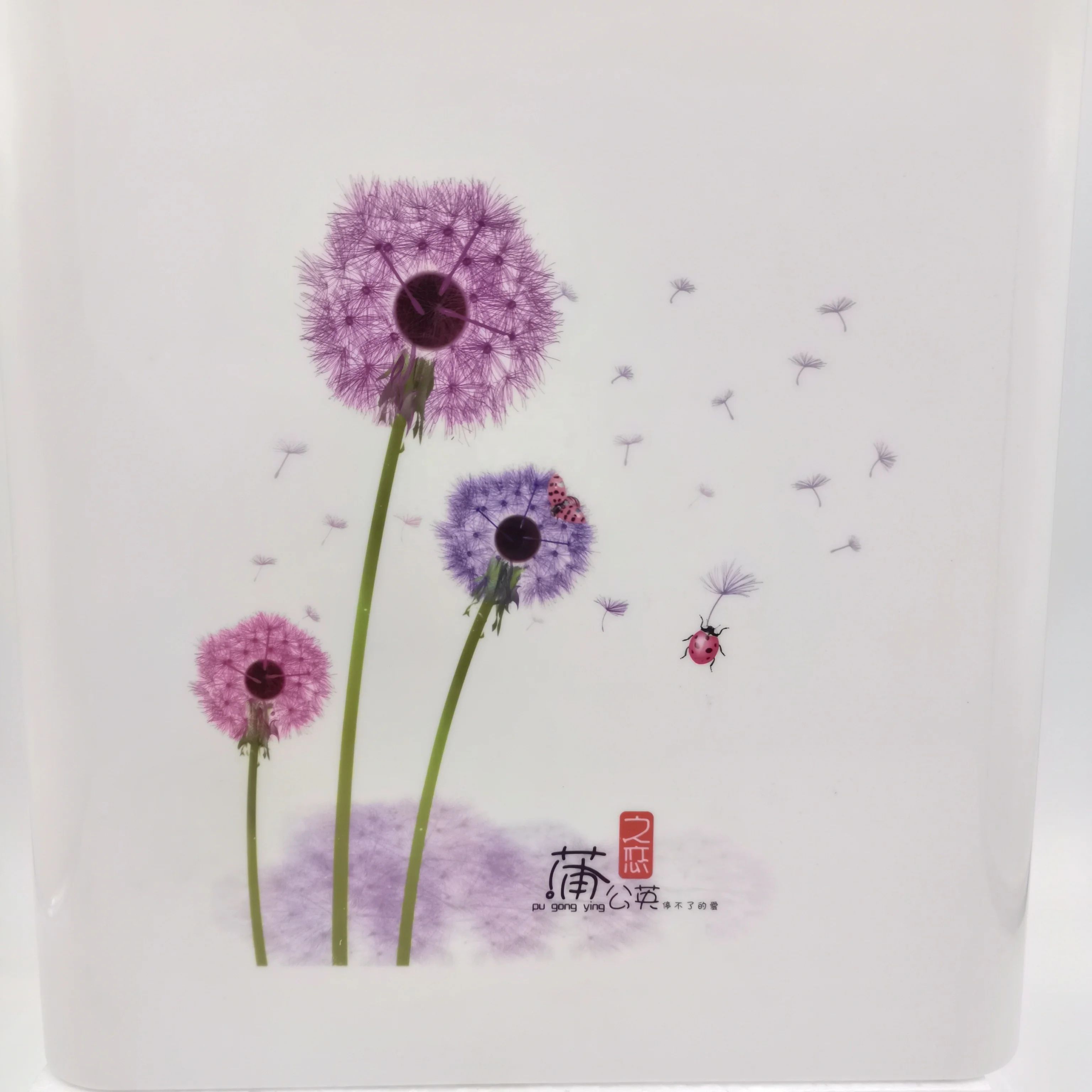 WC Squatting Pan Cistren Plastic Toilet Water Tank