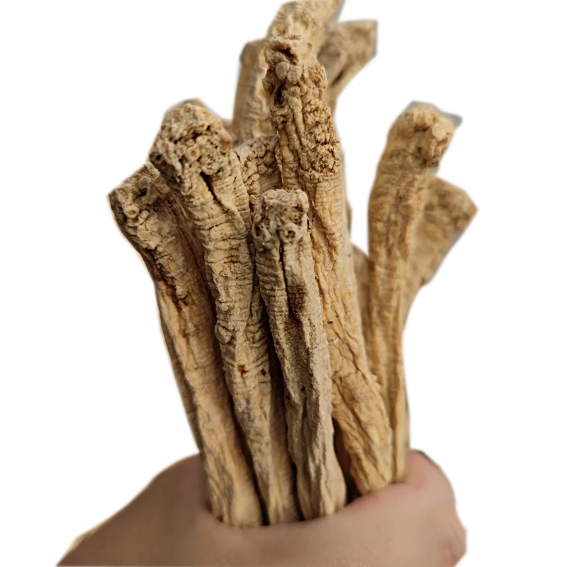 Wholesale traditional Chinese extract artificial third class codonopsis pilosula nannf chinensis Gansu Zhongzai