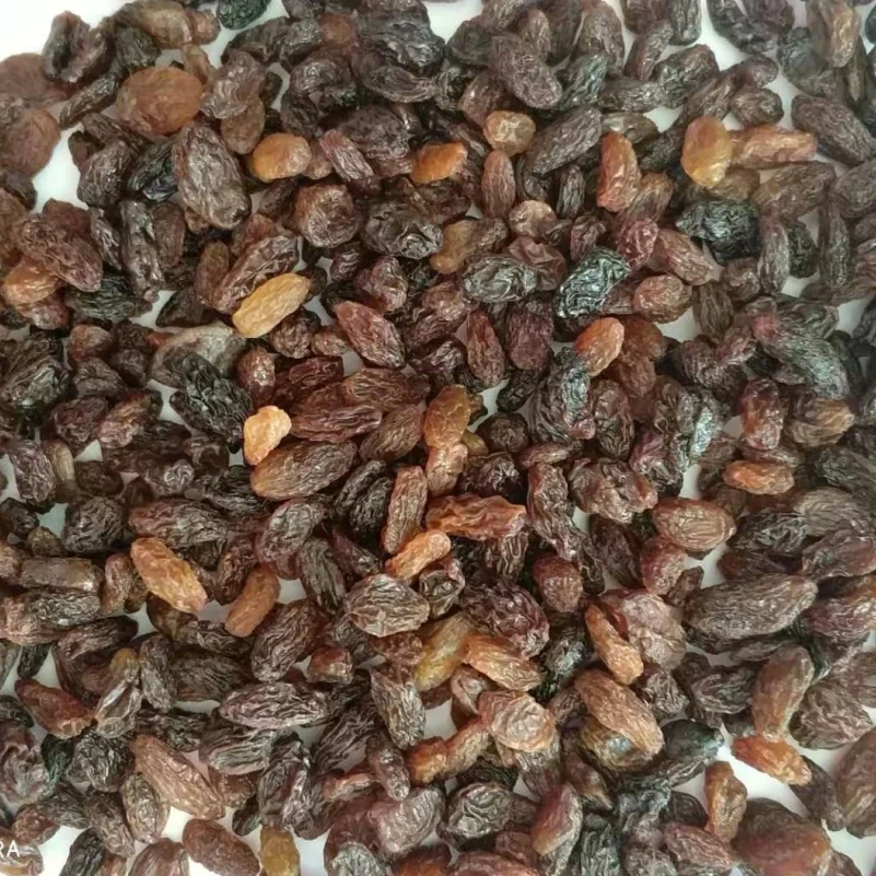 wholesale seedless dried raisin sultana