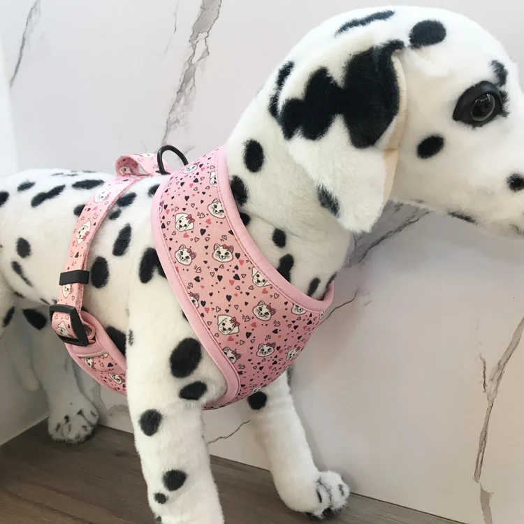 Amazon Hot Selling Custom Printing Breathable Mesh Dog Harness Leash Set with Collar Poop Bag Holder Dispenser 6