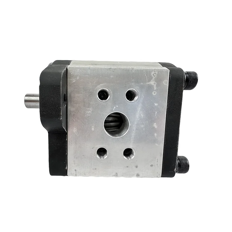 Chemical pump Spiral silent aluminum hydraulic gear pump for a wide range of applications