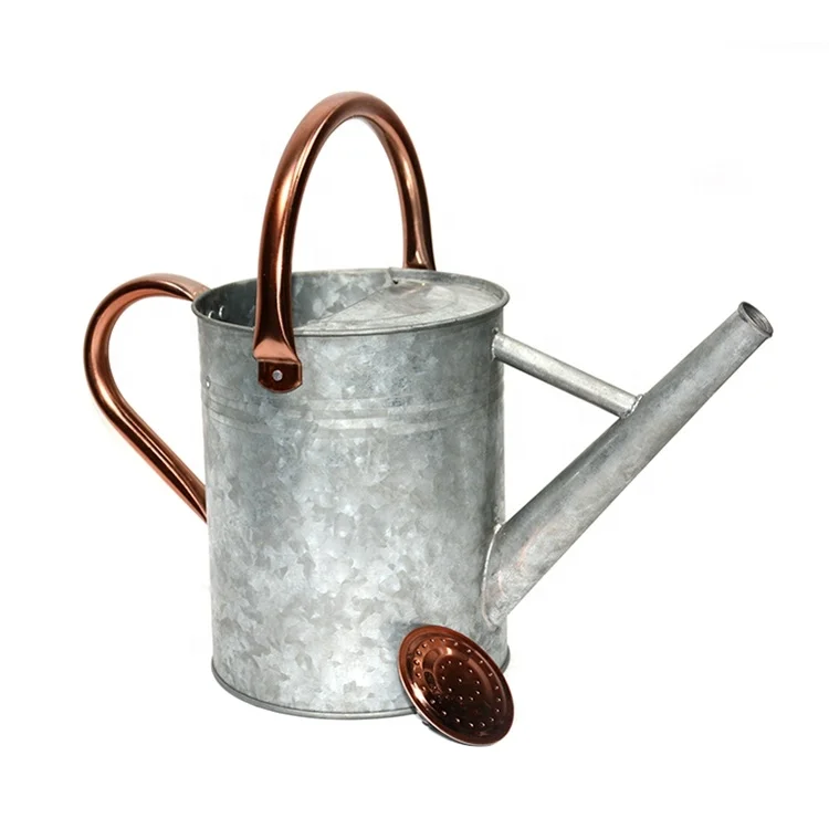 New design modern metal watering the flowers watering can for sale