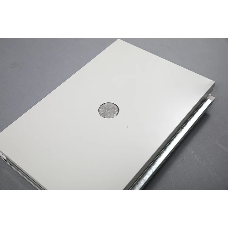 
Clean Room Project Insulated Silicon Rock Sandwich Panel Board for Roof and Wall 