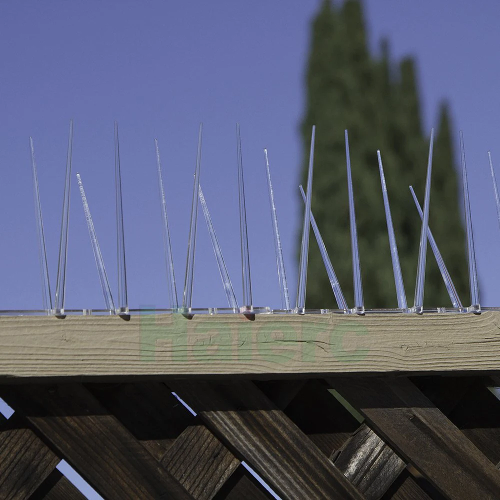 Haierc bird control plastic anti bird spikes