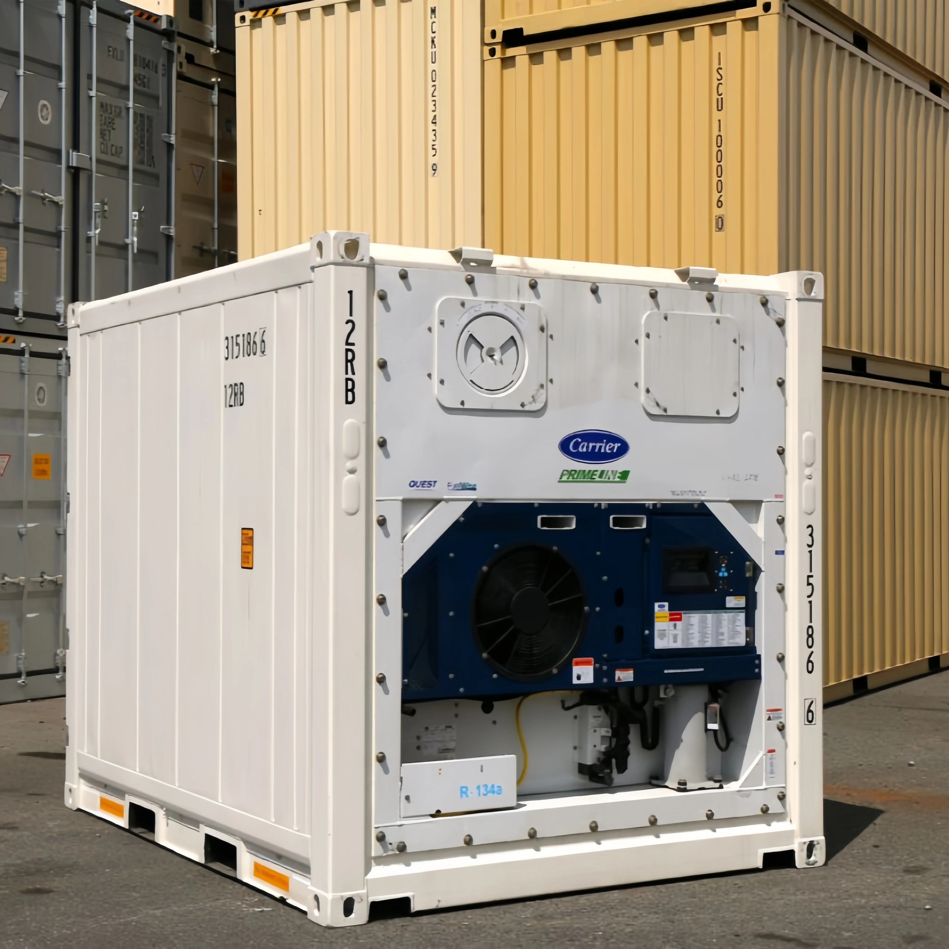 ZSTR Hot Tend Removable  Mobile Cold Room Blast Freezer Chicken Meat Refrigeration Equipment Cold Cool Freezing Storage Room