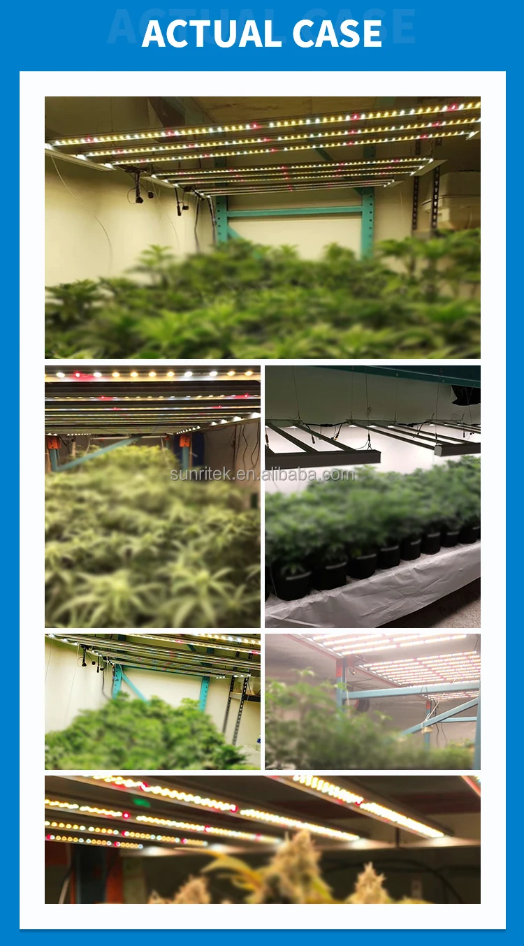 6.led grow light.jpg