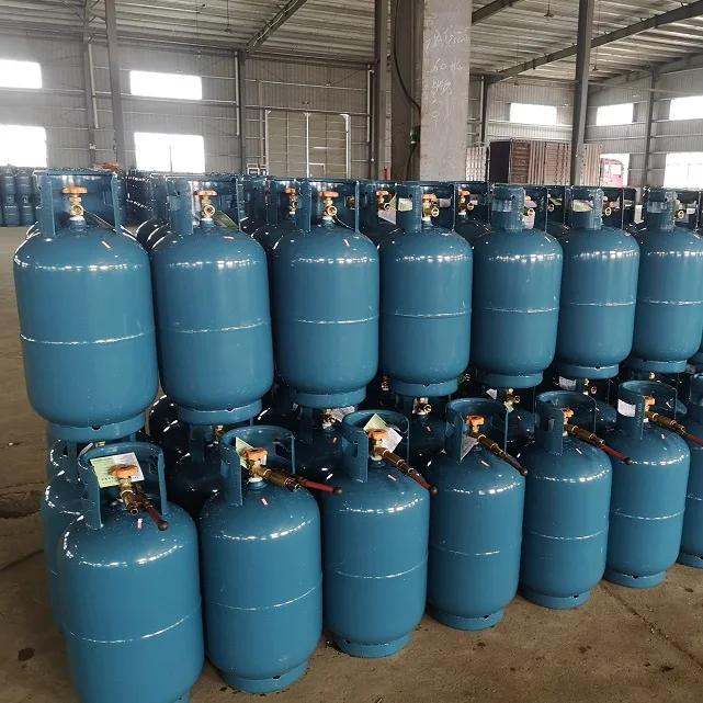 Best Price 7KG Steel Portable Cooking Propane Gas Bottle/LPG Cylinder