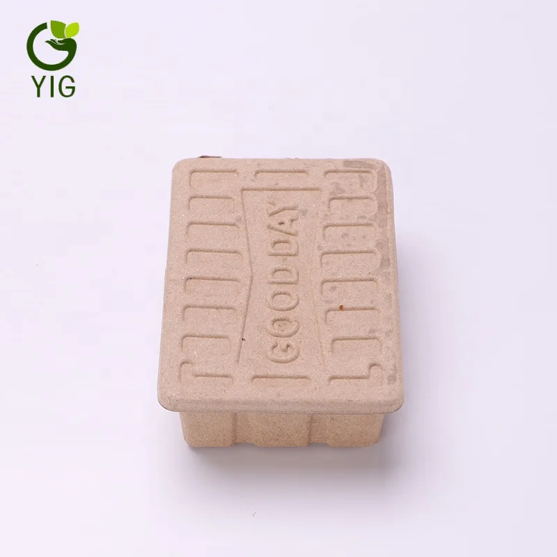 
Biodegradable Pulp And Paper Packaging 