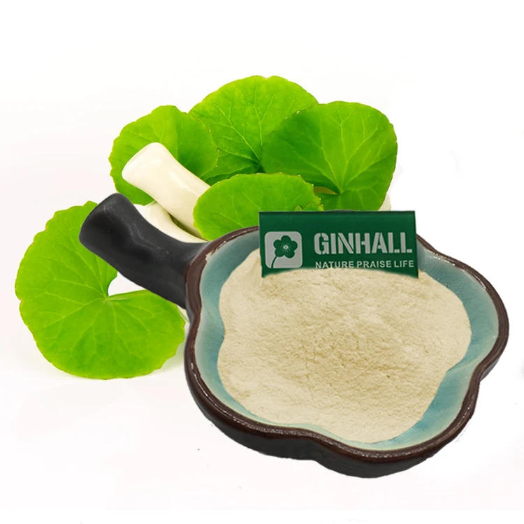 Bulk price hydrocotyle asiatica extract/centella asiatica extract /gotu Kola extract powder 90% asiatic acid