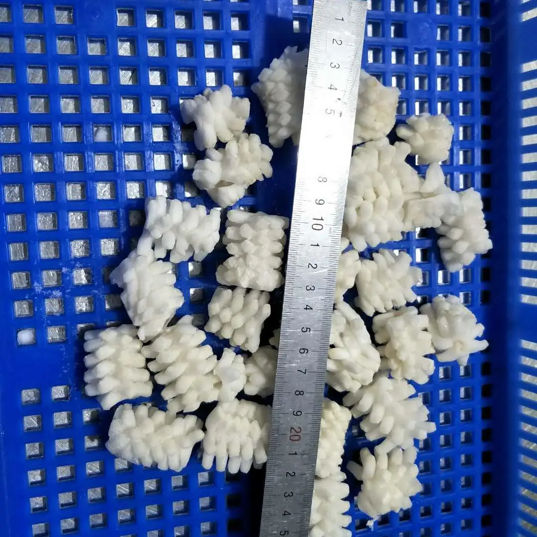 
Frozen giant cut pineapple squid flower 
