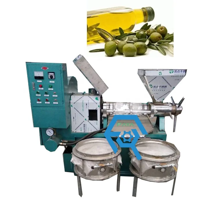 Stainless steel screw Sunflower Oil press machine palm coconut oil extraction machine with Filter