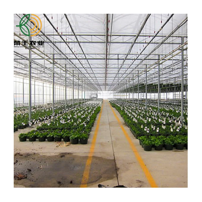 
manufacturer agricultural PC greenhouse multi span Tunnel greenhouses 