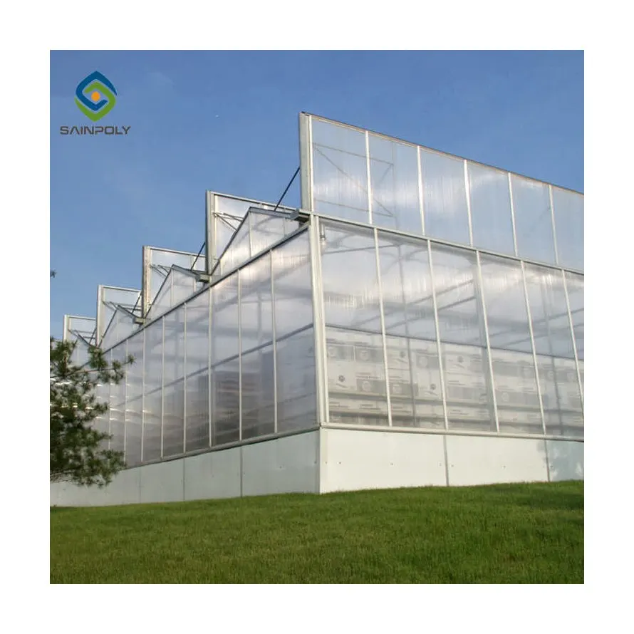 Sainpoly agriculture intelligent greenhouse multi-span PC sheet glass tomato greenhouse with hydroponic growing syste