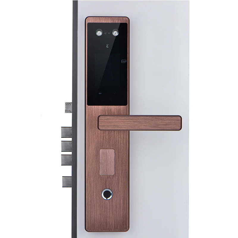 
tuya zigbee smart digital lock facial recognition handle push pull smart tt door lock 