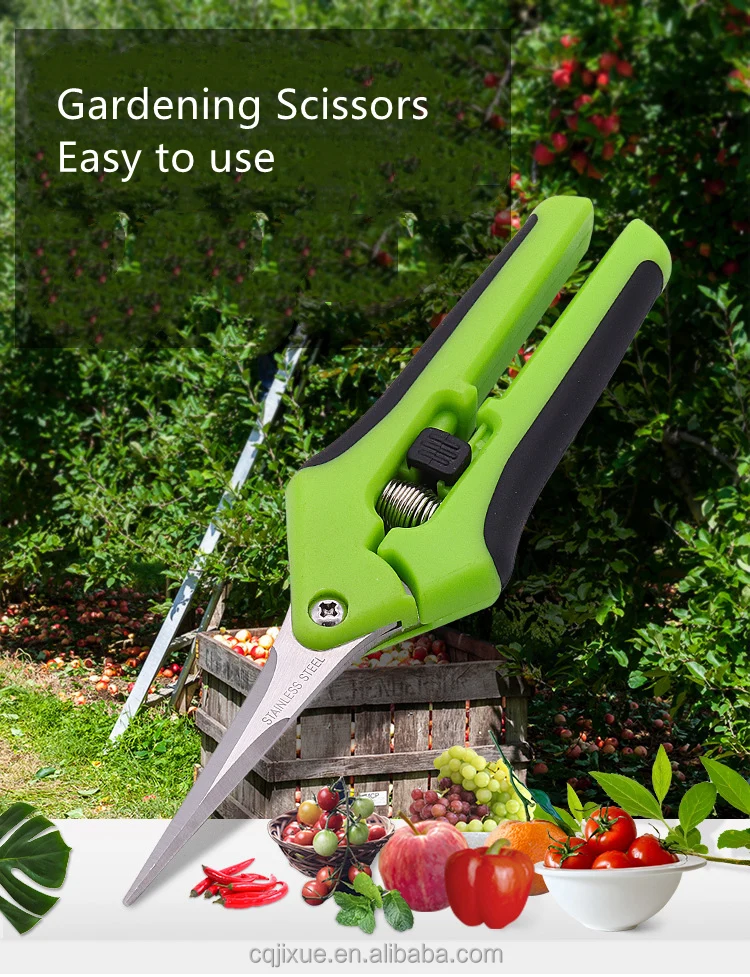 Needle Nose Curved Blade Gardening Scissors Micro Hand Secateurs Pruning Shears Pruners