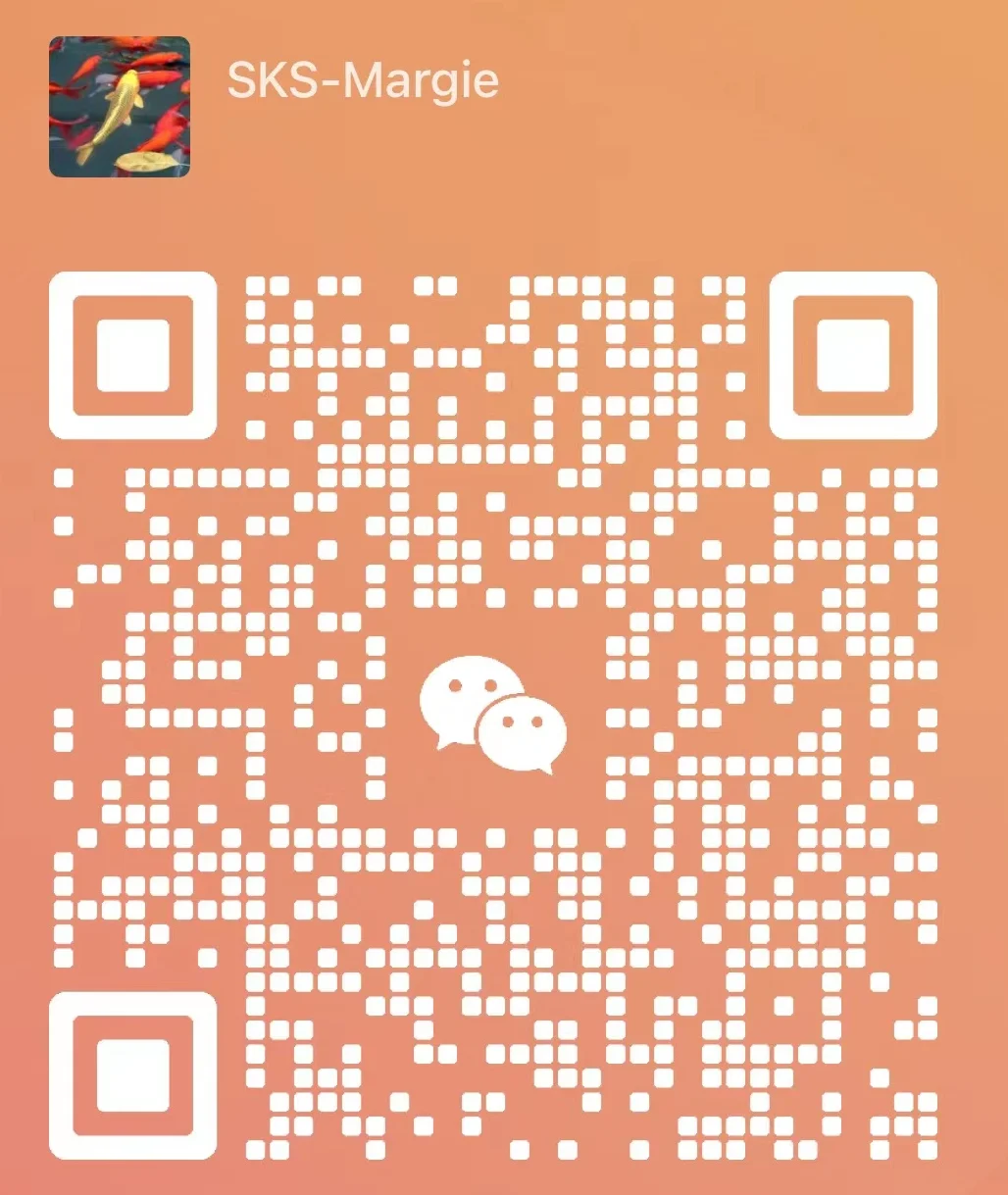 _20231227154005.png