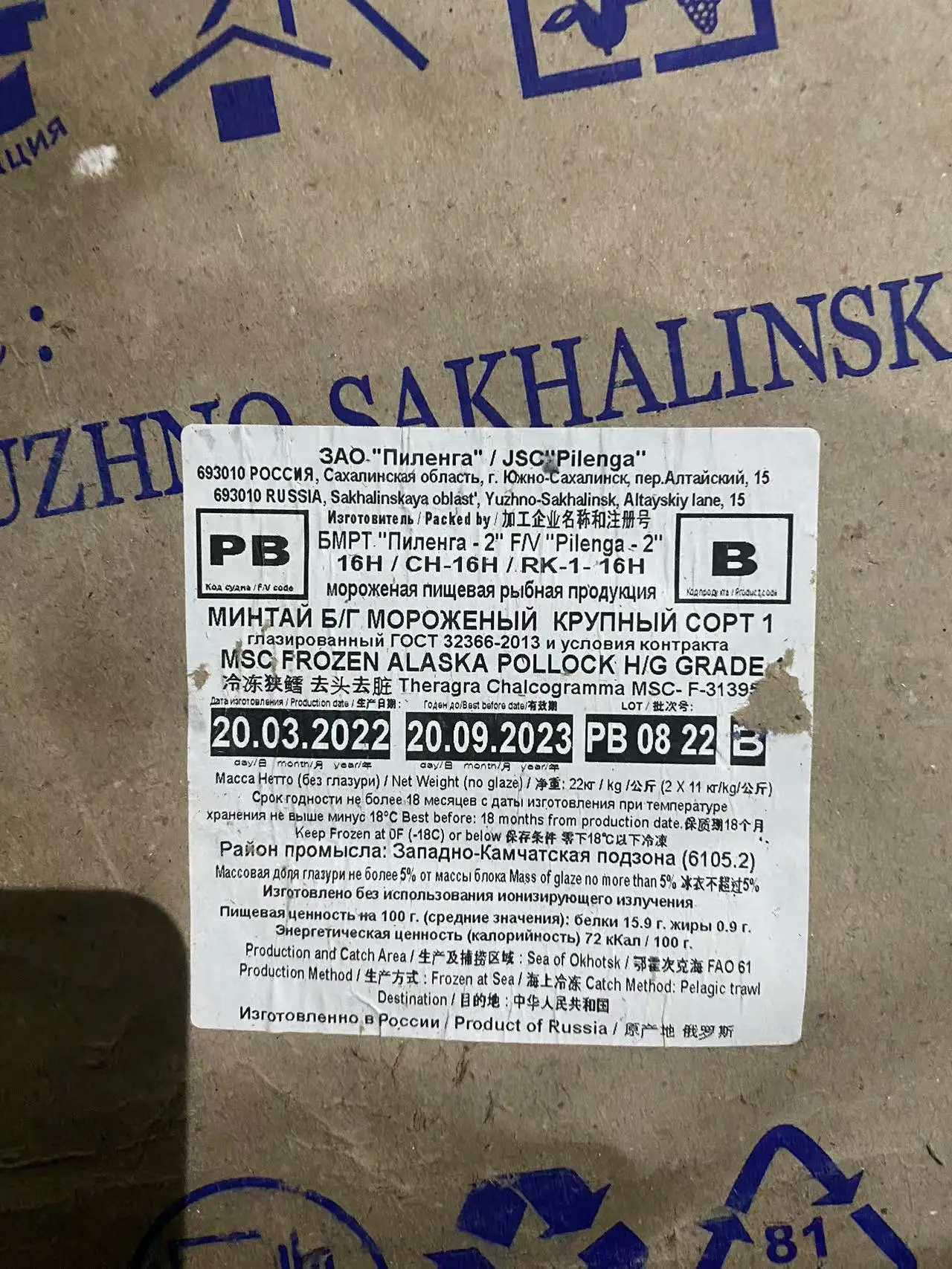 BQF Alaska Pollock Headed Gutted Pollock Fillet from Russian Origin