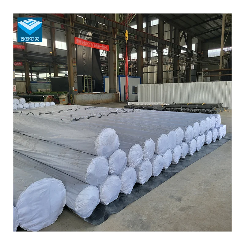 Shrimp Fish Farm Pond Liner HDPE Geomembrane  Dam Water Reservoir Pond Liner Geomembrane