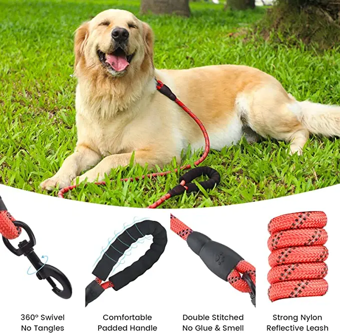Manufacturer Heavy Duty Pet Lead Metal Hook No D Ring Reflective Training Rope Dog Leash Personalized RIBBONS Print Nylon Leash