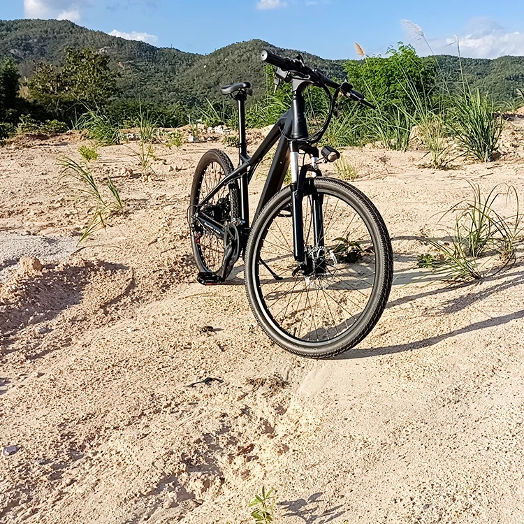 Freego China Hot Sale 48V Electric Fat Tire Bike With Removable Battery  Electric Mountain Bike