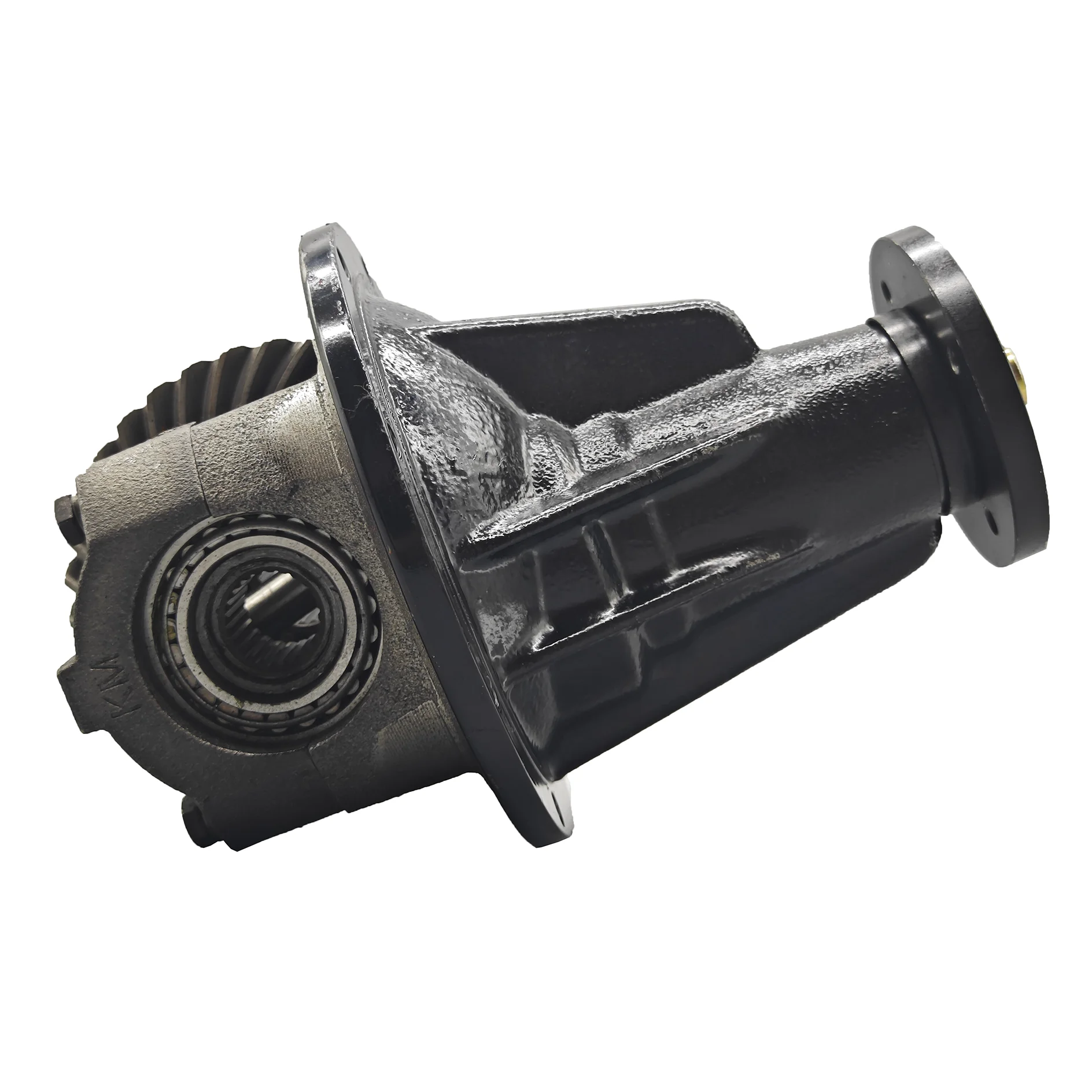 OEM ODM Made in China Tricycle Differential for 125cc 150cc 200cc 250cc 300cc Trike Auto Rickshaw Pedicab UTV Utility Vehicle