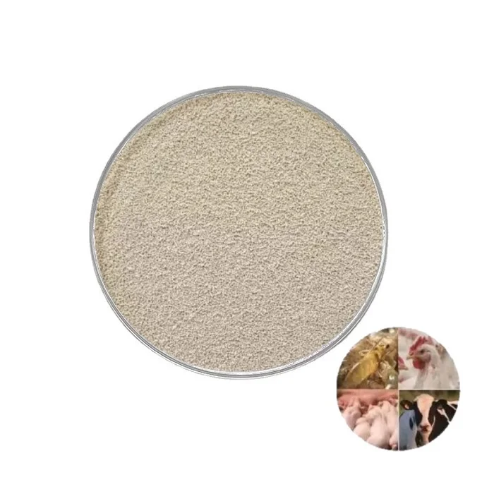 Hot Sale Animal Feed Probiotics 20 Billion CFU/g Live Yeast Saccharomyces Cerevisiae