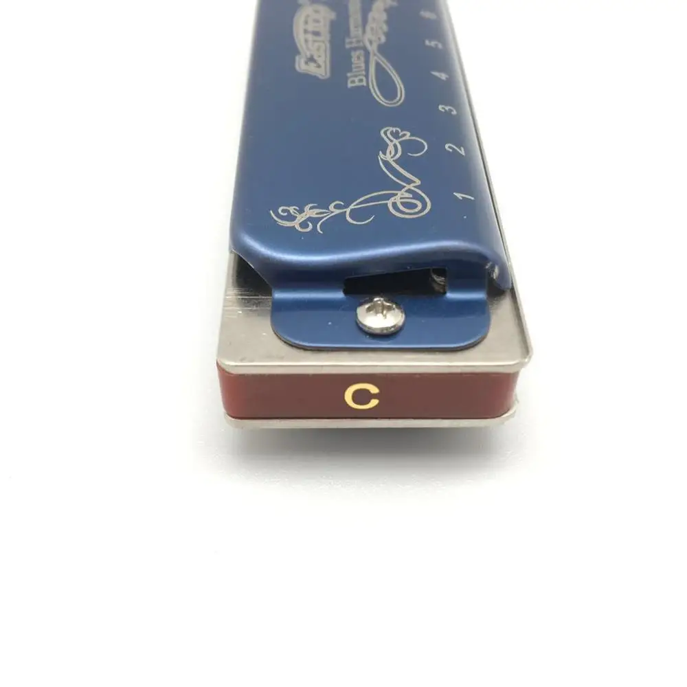 Cheap Factory Price 10 holes blues professional harmonica