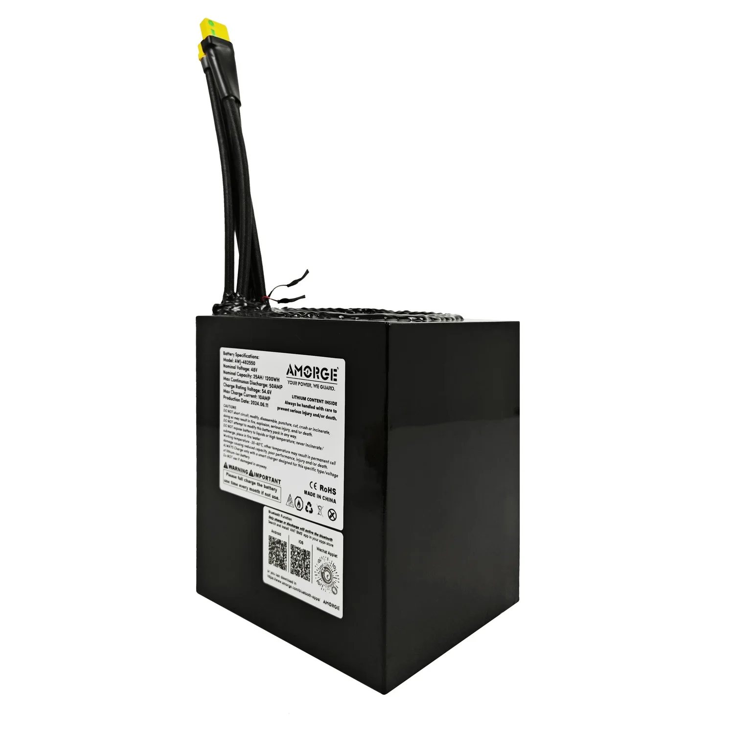 AMORGE 48V 25AH 50AMP Lithium Battery Pack with ANT Bluetooth BMS