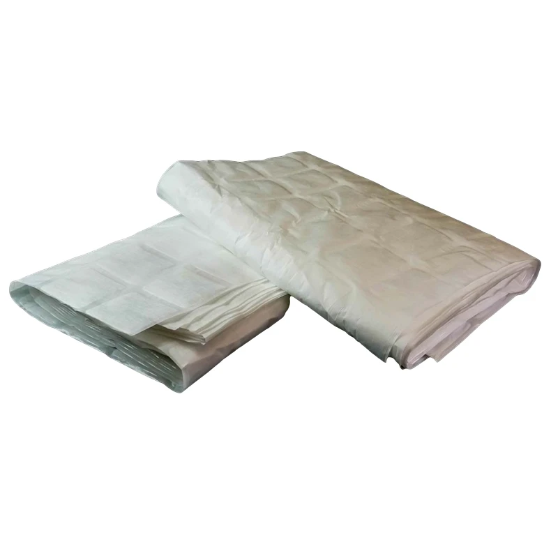 Easy to Transport Light Weight Dry Ice Pack Sheet Fozen Food Storage,rehabilitation Therapy Supplies Hot & Cold Packs 3824999990