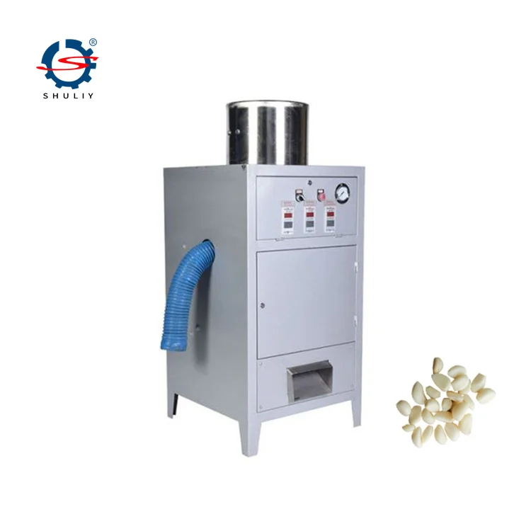 Fully automatic peeling processing plant manufacture high quality peeled garlic washing machine
