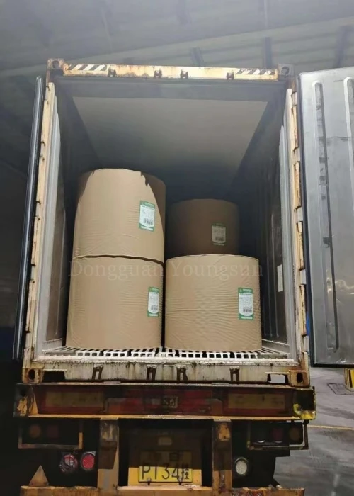 250gr 300gr Testliner Coated Brown Kraft Paper White Back For carton