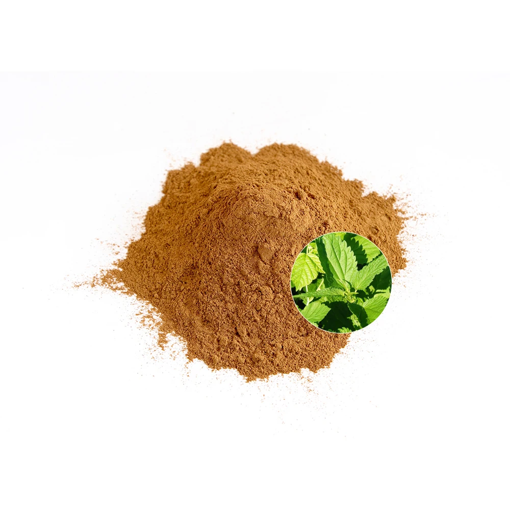 High Quality Nettle Root Extract Plant Extract Nettle Extract Liquid Nettle Root Extract 5:1