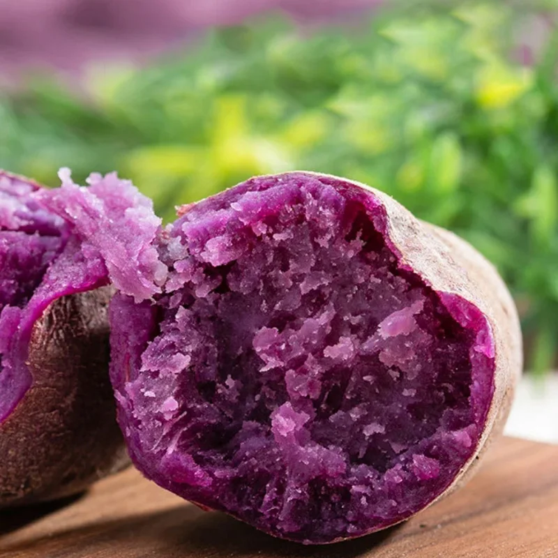 
High quantity for exports calming for stomach sweet potato purple from China 