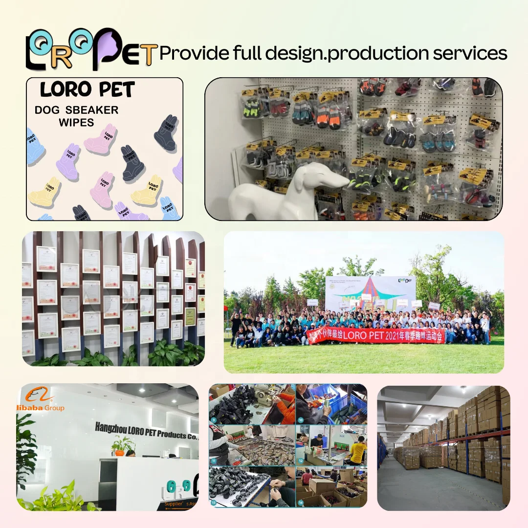 Dog Sneaker Adjustable Air Mesh Surface 2025 New OEM high-end Custom Dog Boots Small Medium shoes stock3