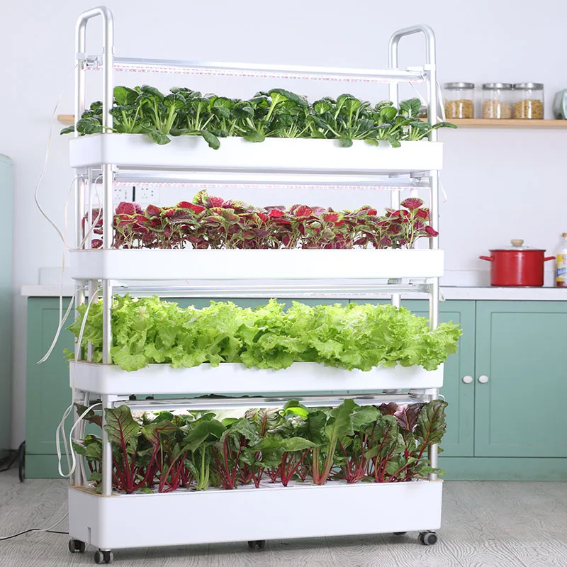 Automatic Home Garden Vertical Hydroponic System Complete Aquaponics Irrigation Farming Supplies Grow Vegetables in Pots