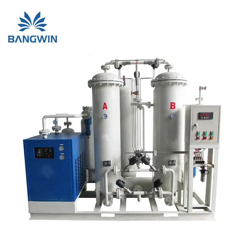 China Best BW GAS onsite PSA Nitrogen Gas Generator with high-quality free after service For tires in aircraft and vehicles