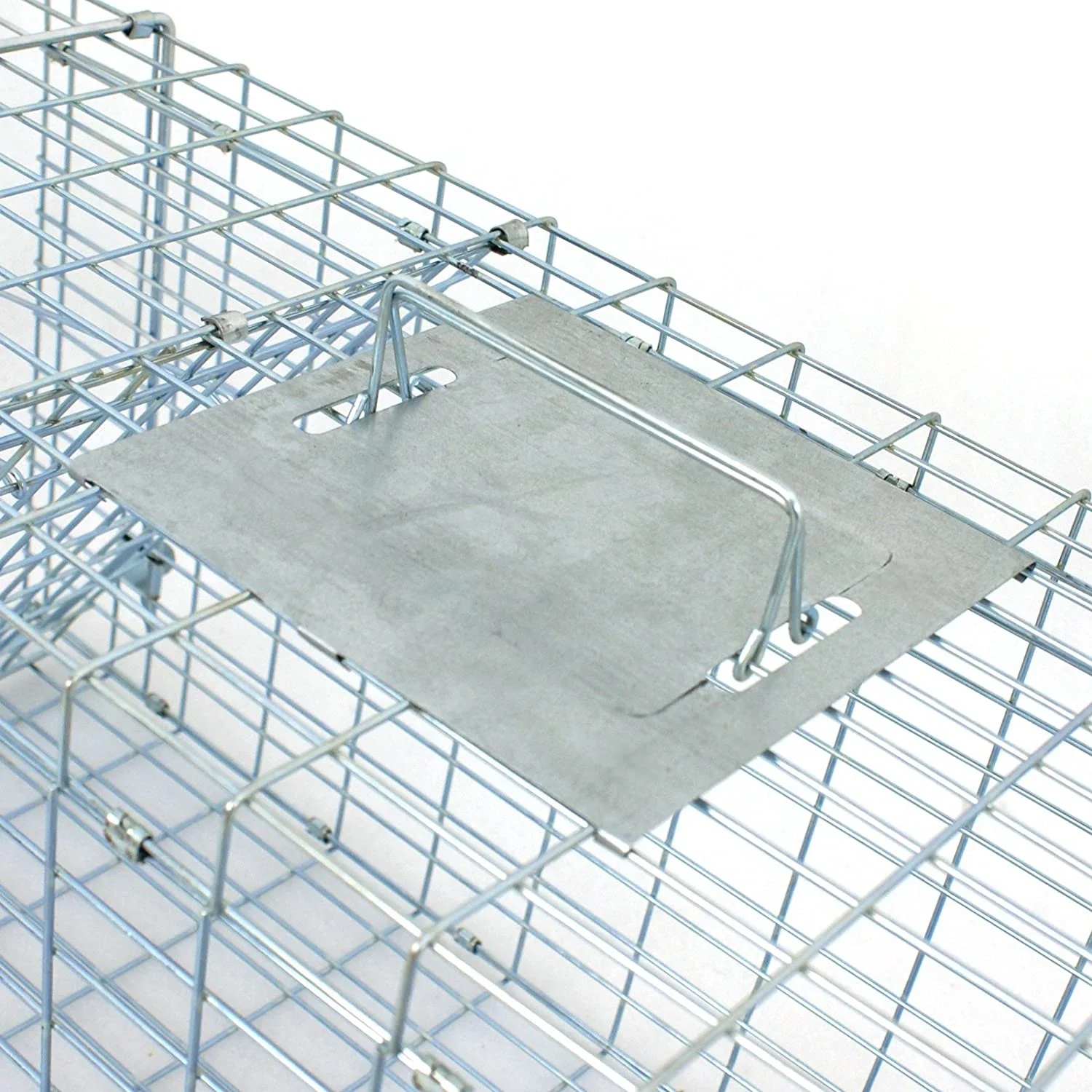 Catch and Release Humane Rodent Cage Medium Live Animal Trap Cage Squirrel Stray Cat Catcher