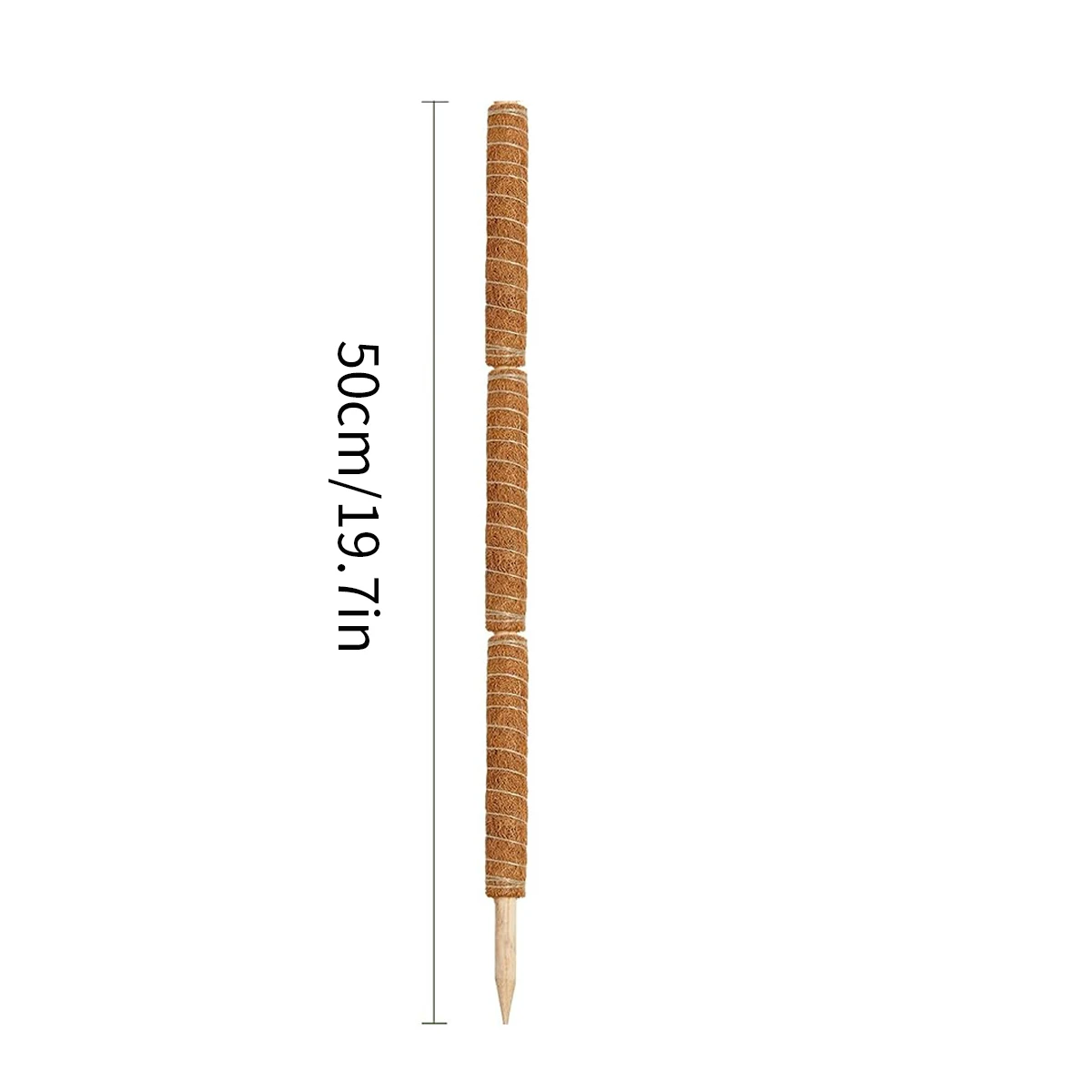 80 cm popular plant climbing pole Coconut palm rod Moss rod supports climbing plants to grow upward