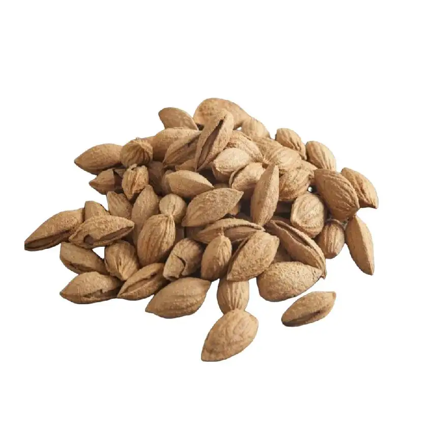 High grade healthy snack raw almonds with shell in bulk from Uzbekistan with competitive price for export