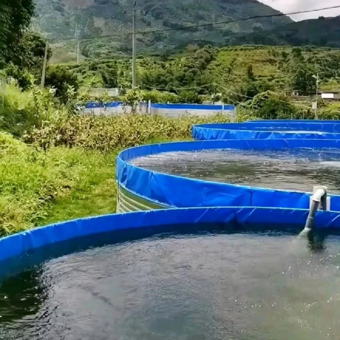Low price wholesale High Quality  Aquaculture Tilapia & Shrimp Ras System  fish farming tank
