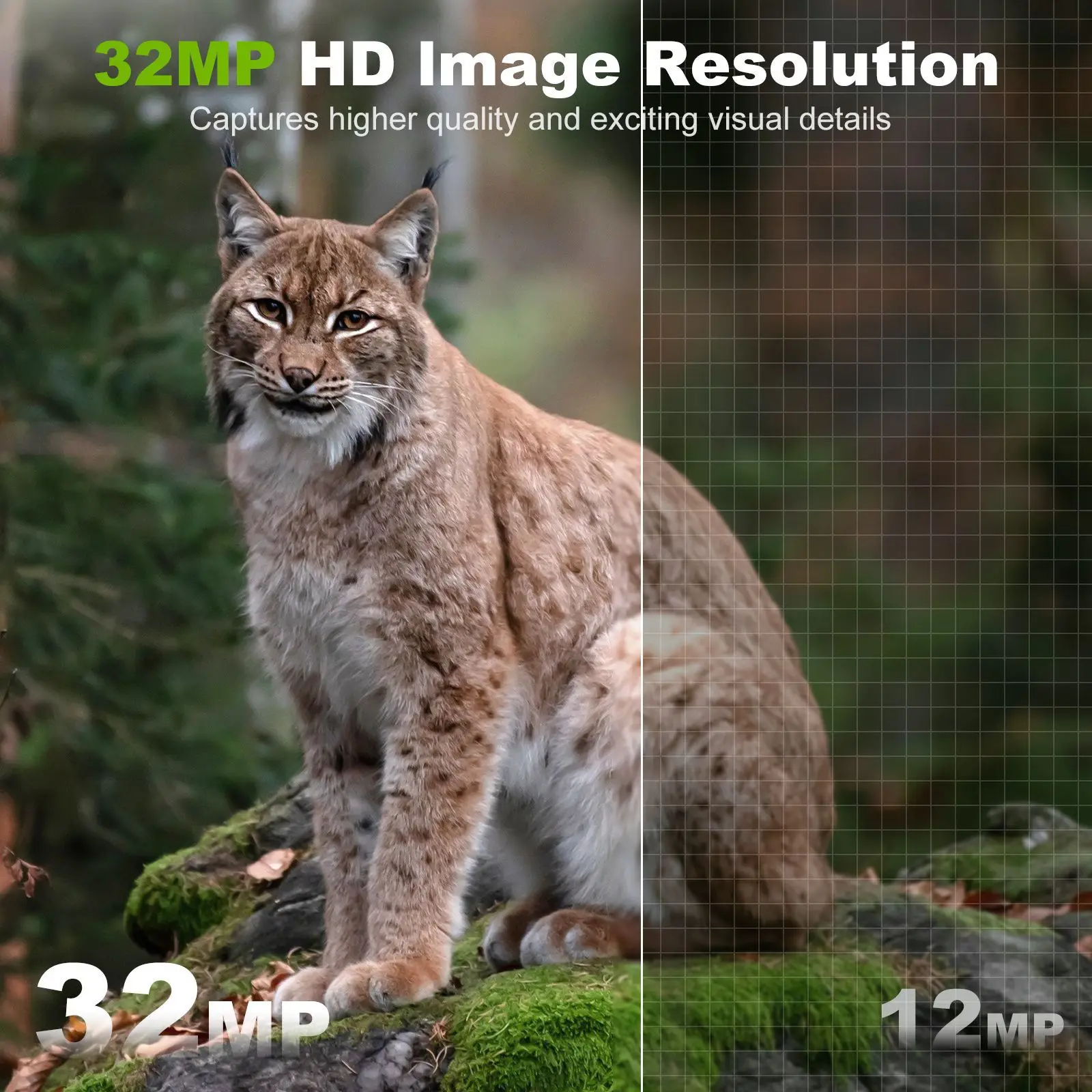 32MP Infrared ultra HD hunting camera IP66 wildlife motion detection cameras for hunting, wireless camera