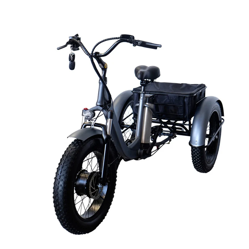 3 wheels rare hub motor zhejiang electric scooter electric tricycle 250 w